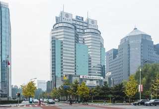 进口建筑方木推荐厂家